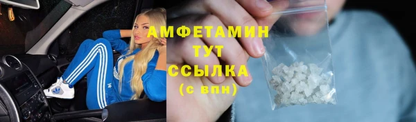 ГАЛЛЮЦИНОГЕННЫЕ ГРИБЫ Тавда