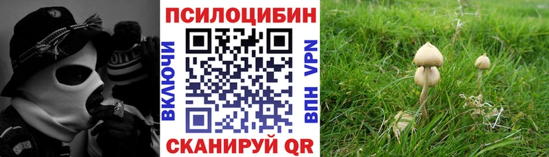 Псилоцибиновые грибы Psilocybine cubensis  Купить где  Качканар 